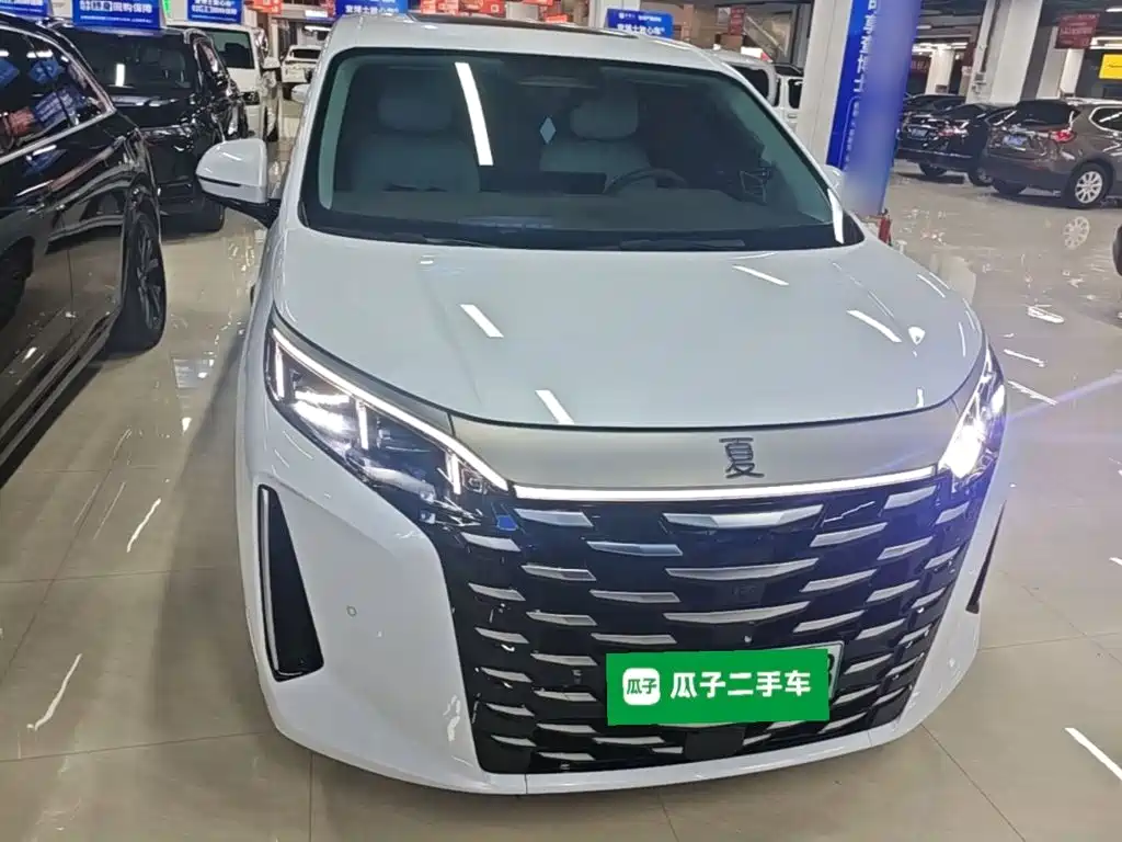 BYD Xia — миниатюра 3
