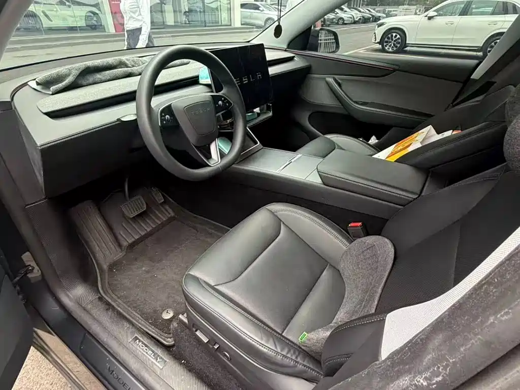 Tesla Model Y — миниатюра 4