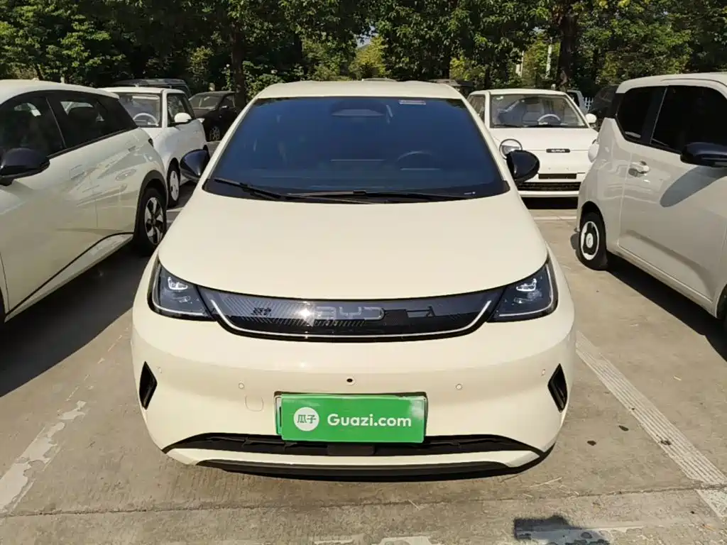 BYD Dolphin — миниатюра 3