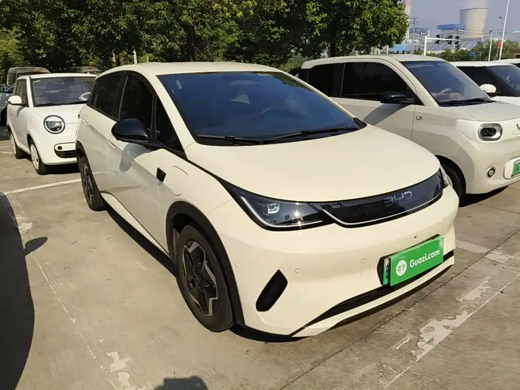 BYD Dolphin — миниатюра 4