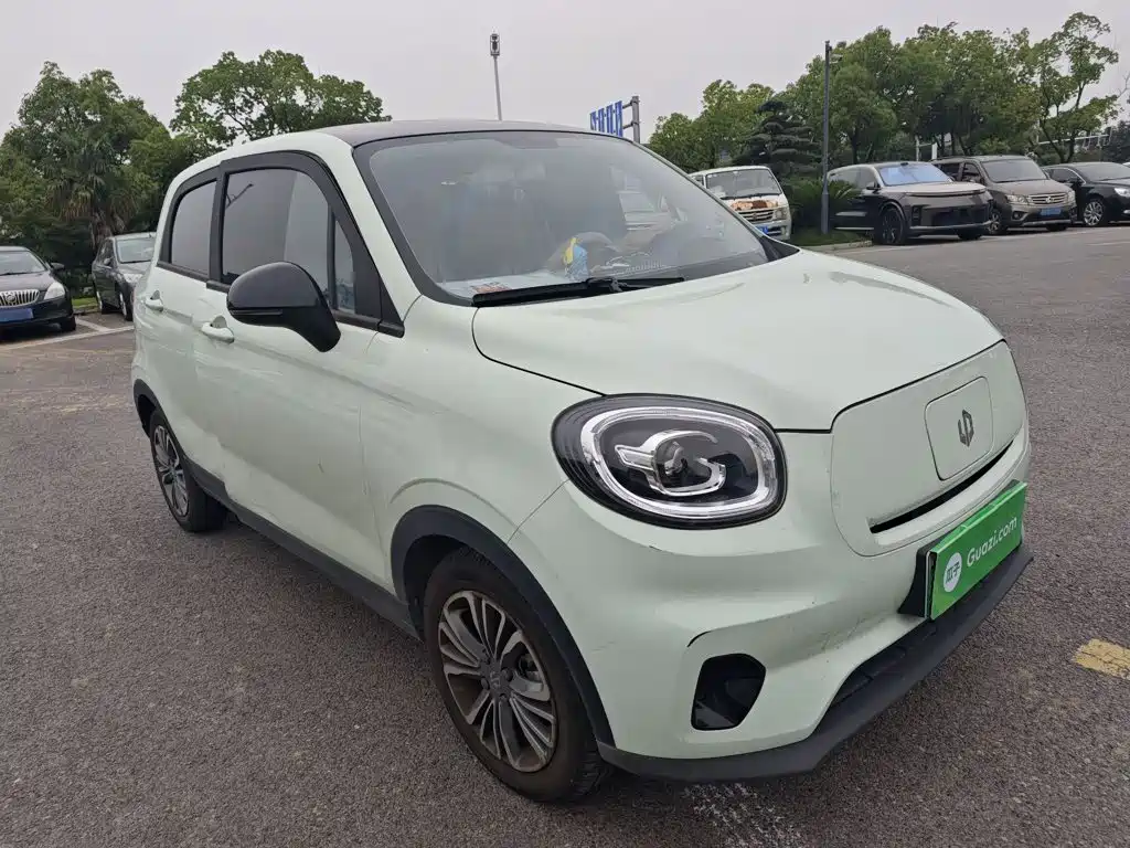 Leapmotor T03 2024 310