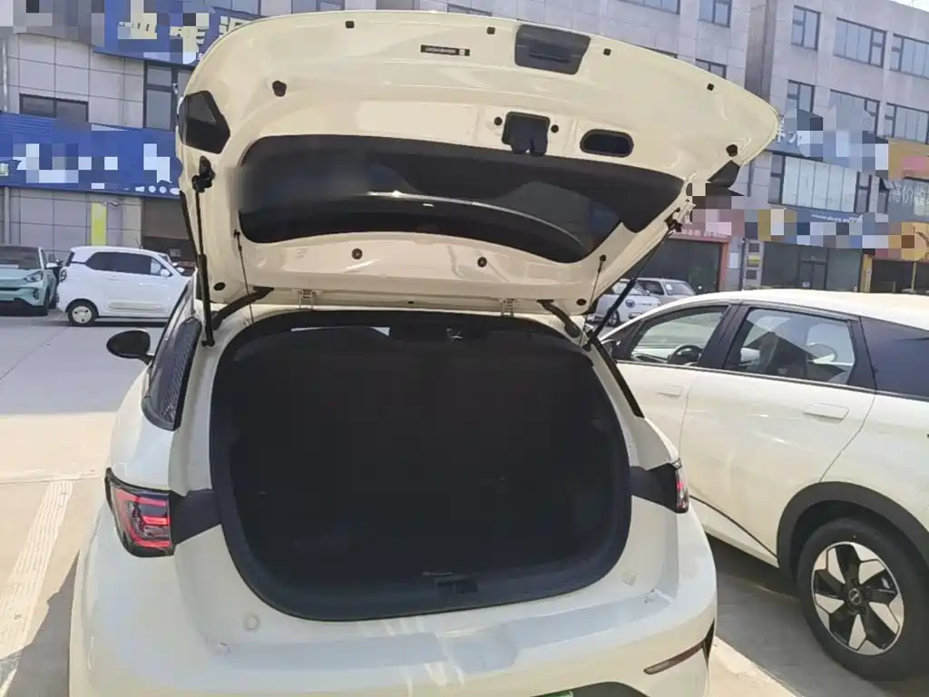 BYD Dolphin — миниатюра 19