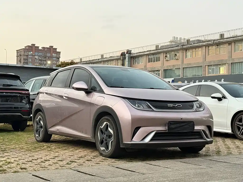 BYD Dolphin — миниатюра 3