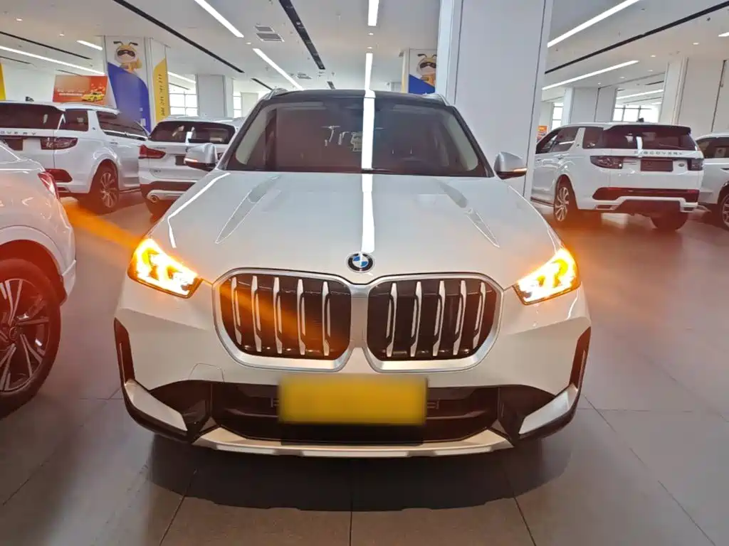 BMW X1 — миниатюра 3