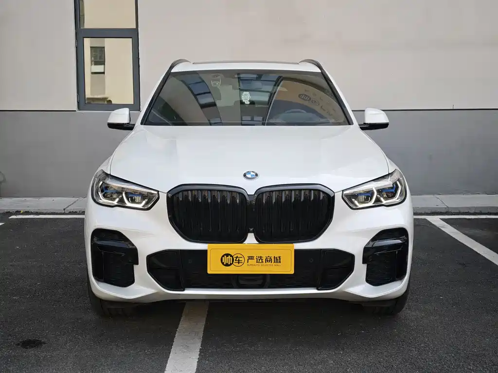 BMW X5 — миниатюра 2