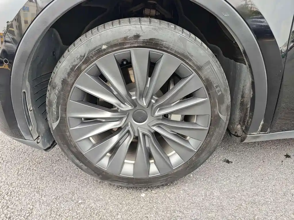 Tesla Model Y — миниатюра 4
