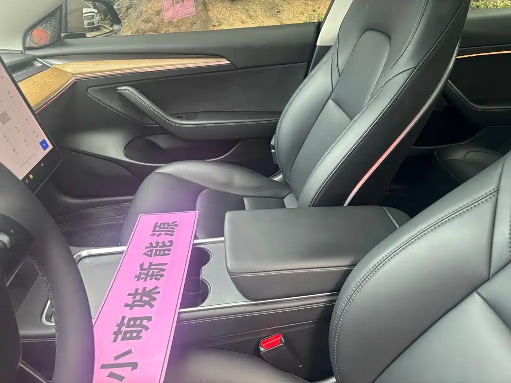 Tesla Model Y — миниатюра 10