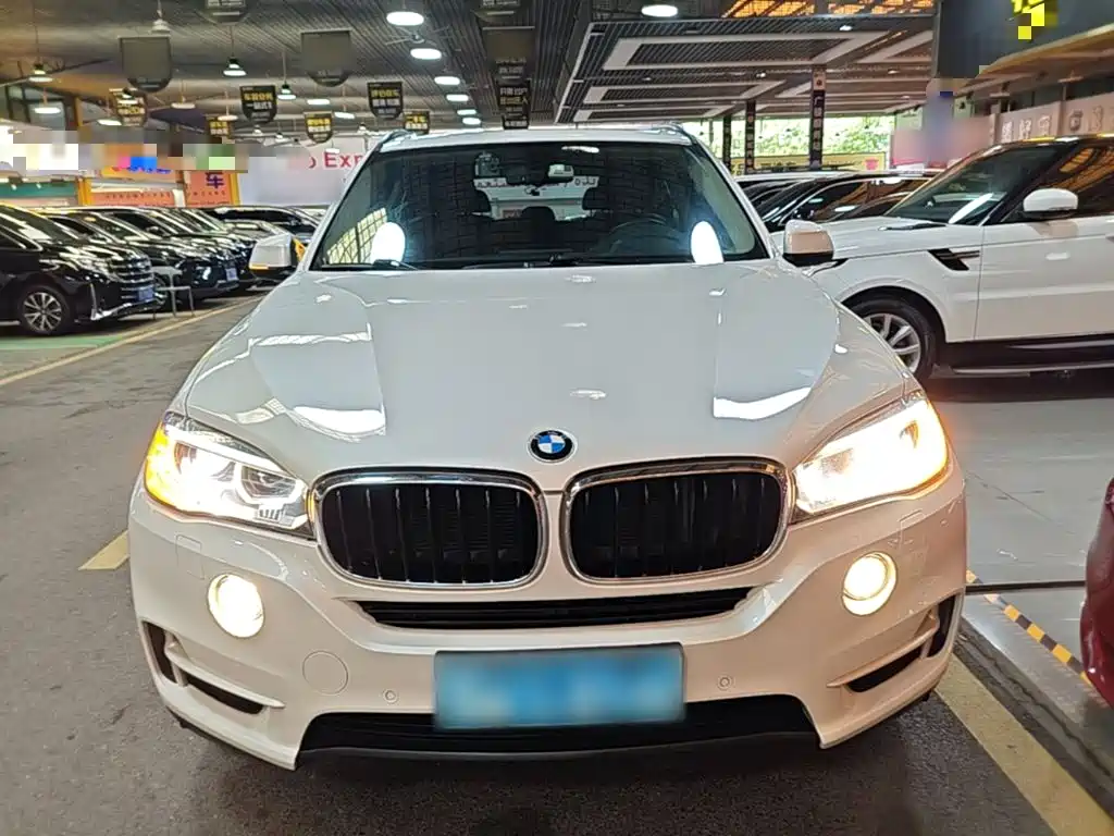 BMW X5 (Import) — миниатюра 3