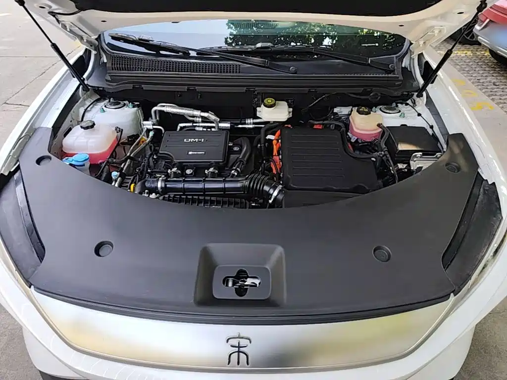 BYD Pro New Energy — миниатюра 20