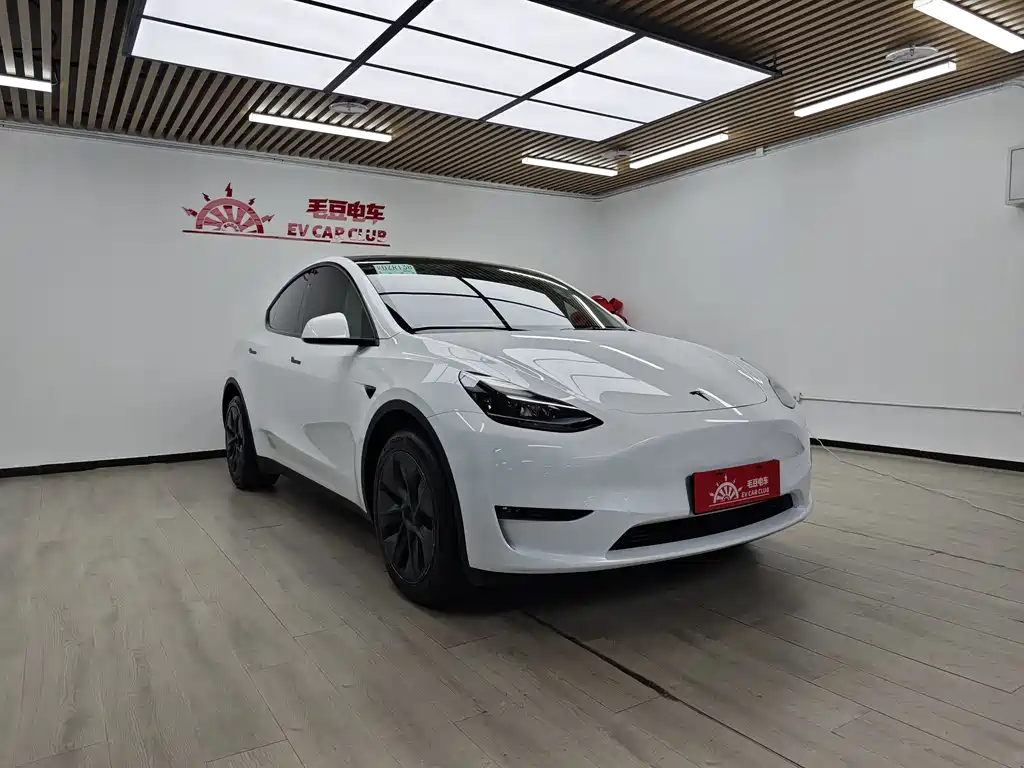 Tesla Model Y — миниатюра 2