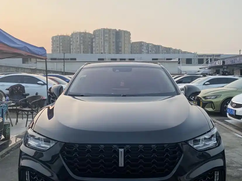 WEI PAI WEI BRAND VV5