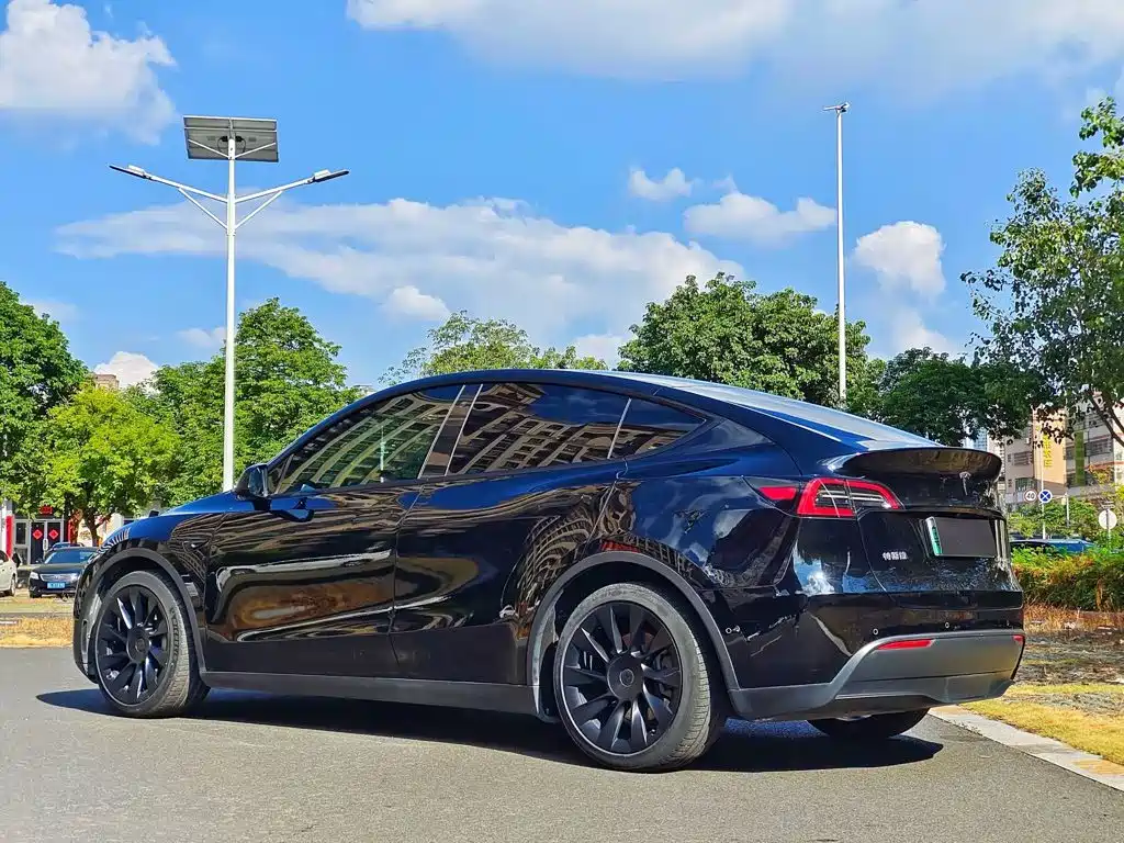 Tesla Model Y — миниатюра 9