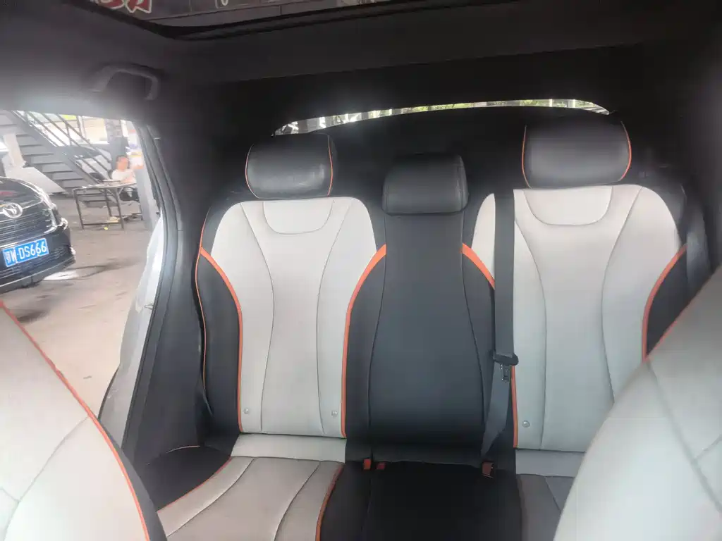BYD Dolphin 2021 405km Fashion