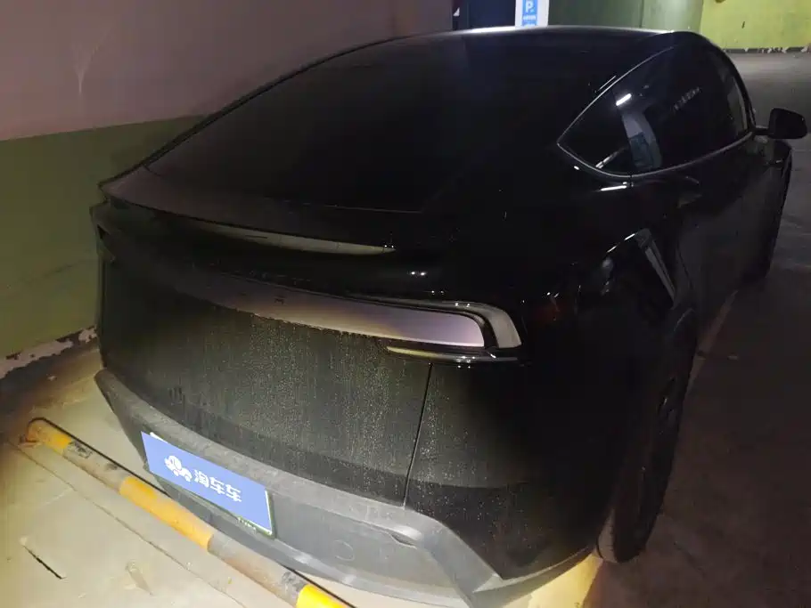 Tesla Model Y — миниатюра 4