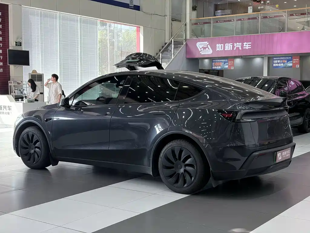 Tesla Model Y — миниатюра 7
