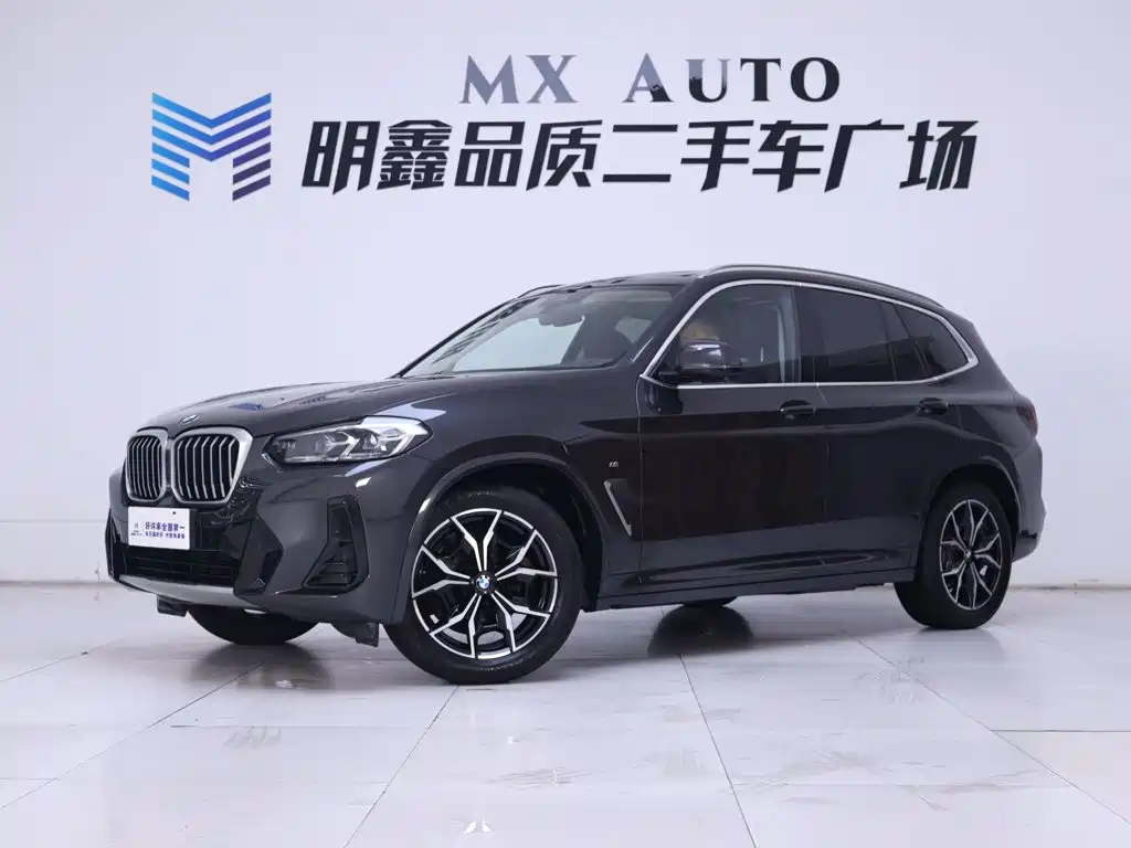 BMW X3 — миниатюра 2
