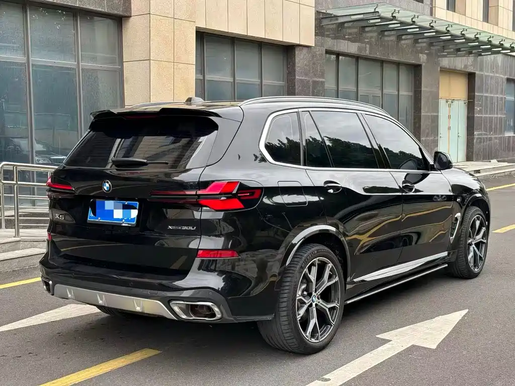 BMW X5 — миниатюра 6