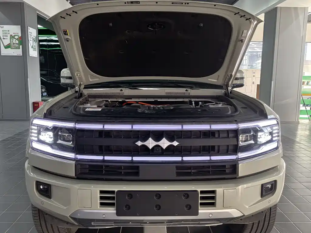 FANG CHENG BAO LEOPARD 5