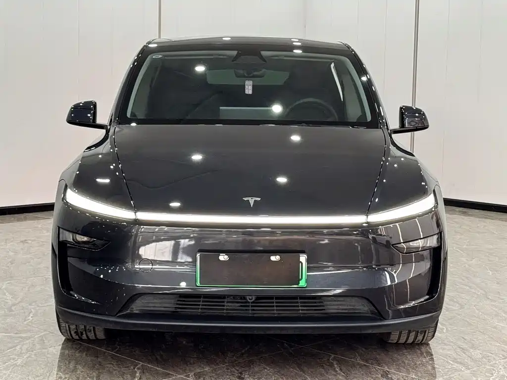 Tesla Model Y — миниатюра 2