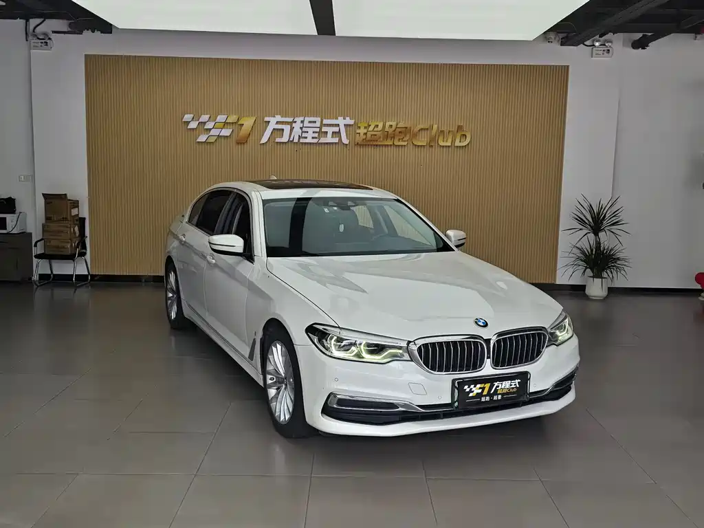 BMW 5 Series 5 2019 530Le Luxury