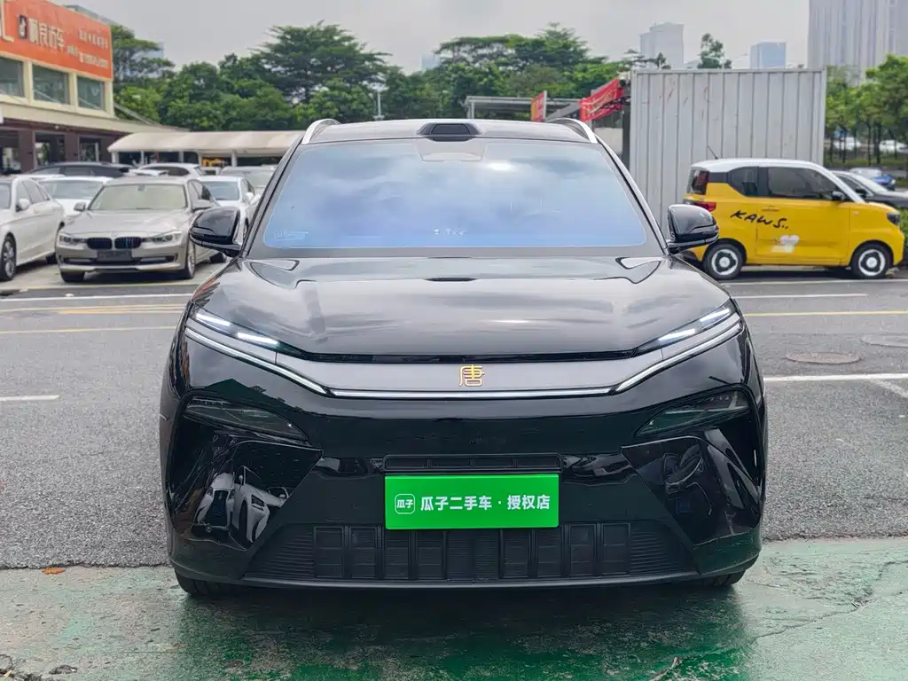 BYD Tang L - фото 2