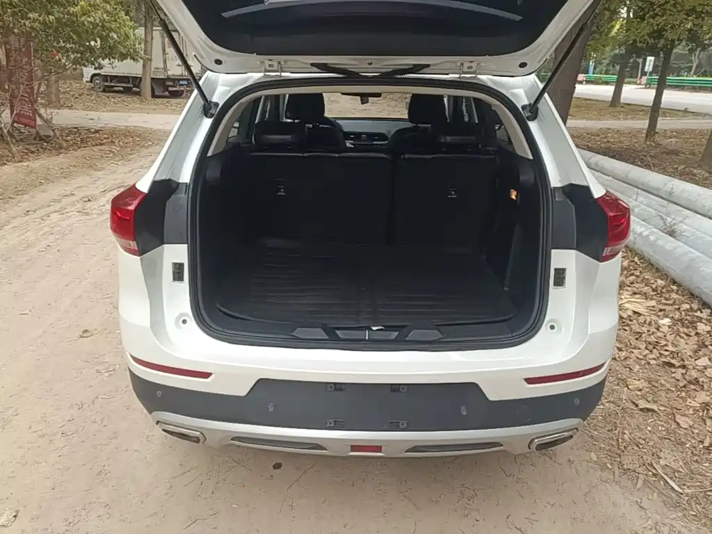 Haval H4 — миниатюра 19