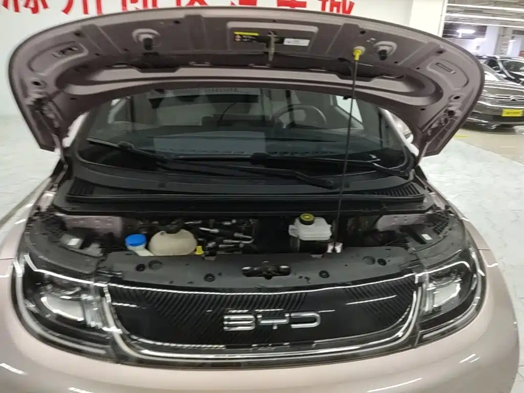 BYD Dolphin — миниатюра 20