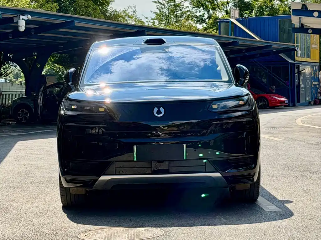 Denza Denza N9 — миниатюра 2