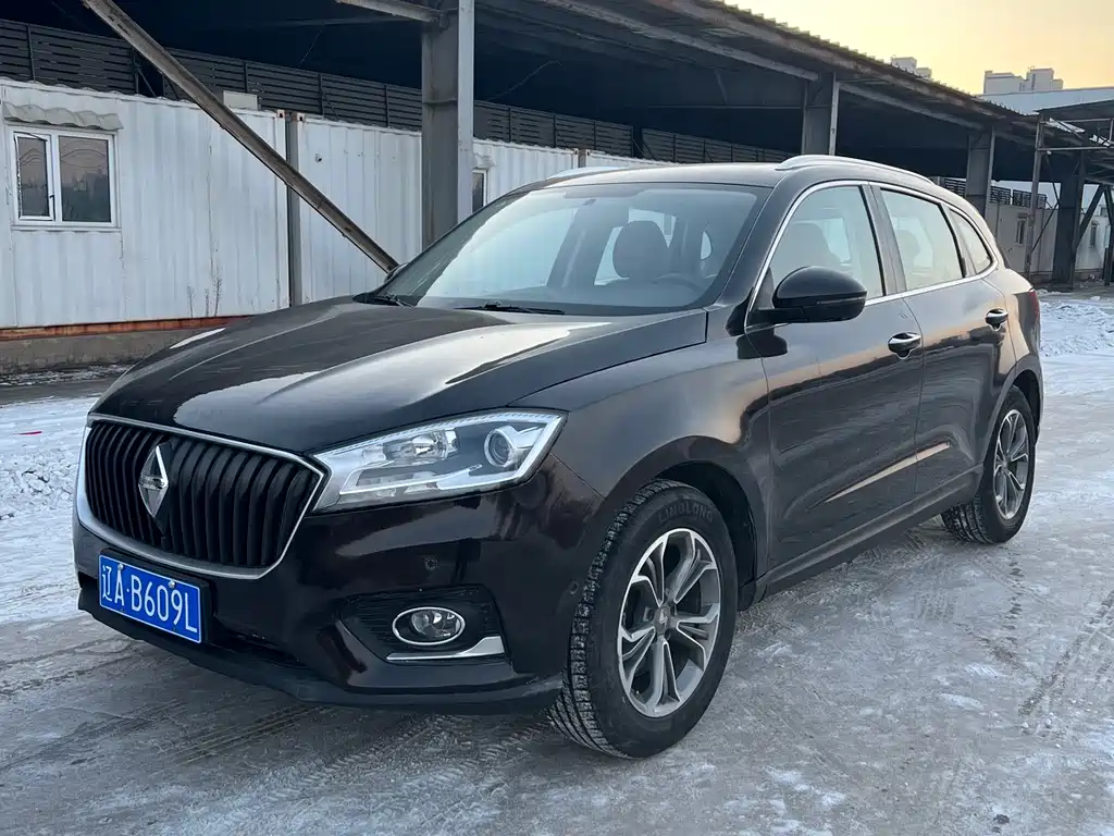 BORGWARD BAOWO BX7