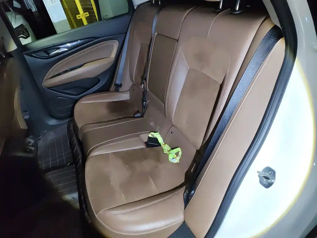 Buick Regal — миниатюра 14