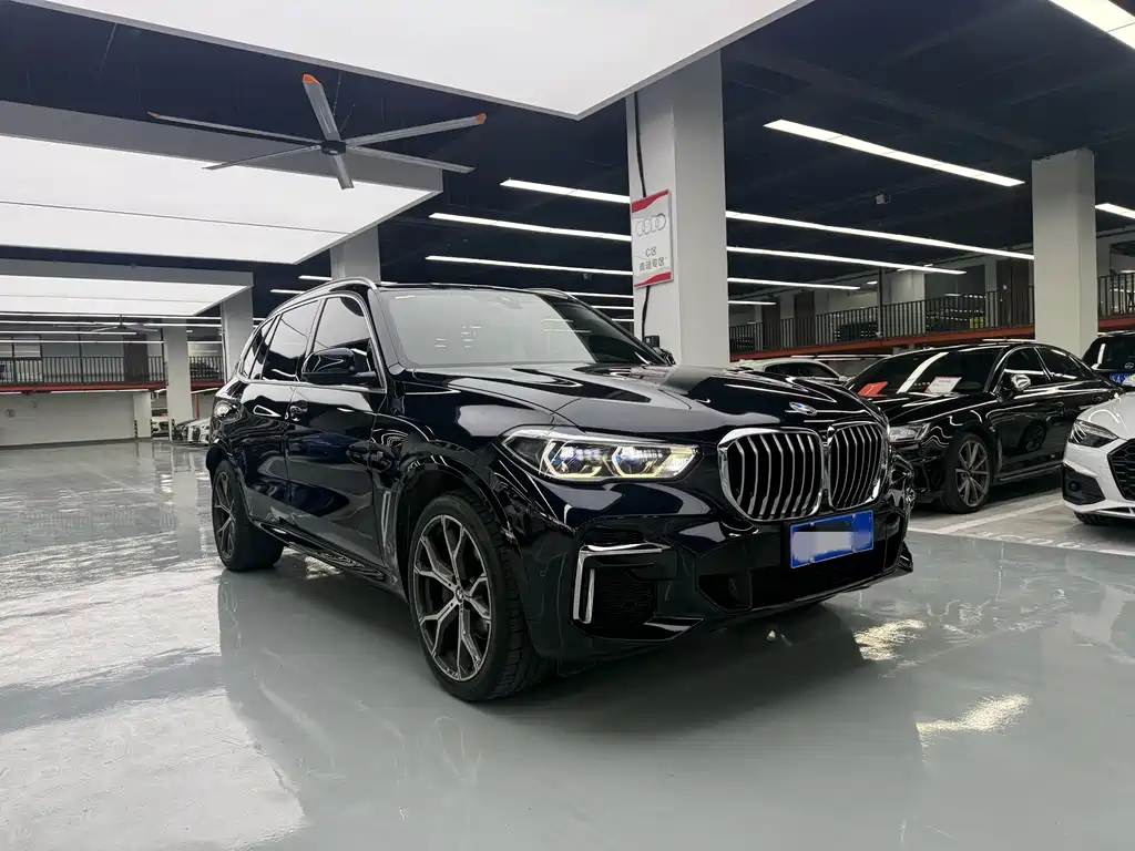 BMW X5 — миниатюра 3