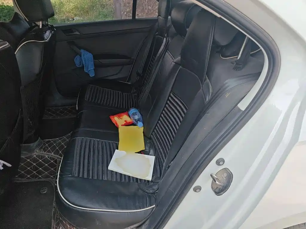 Volkswagen Santana — миниатюра 13