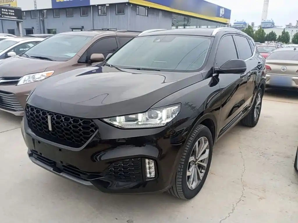 2019 Wey VV6 - zdjęcie 1 z 25
