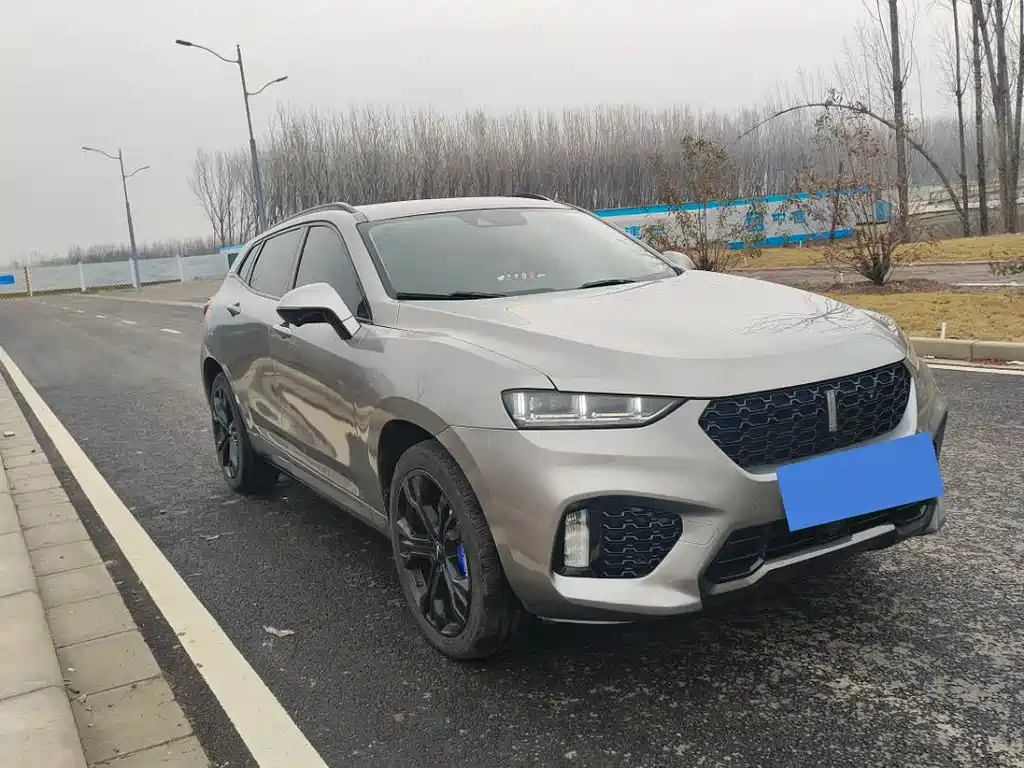 WEI PAI WEI BRAND VV7