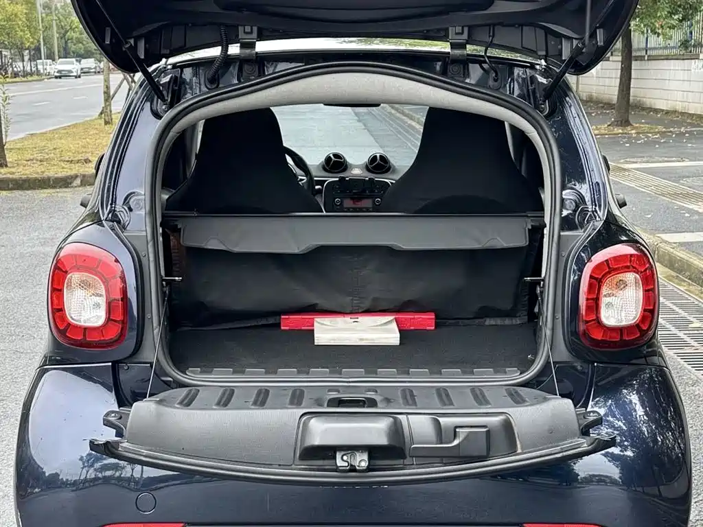 smart Smart Fortwo — миниатюра 10