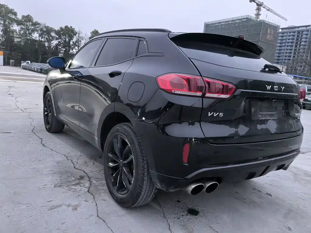 WEI PAI WEI BRAND VV5