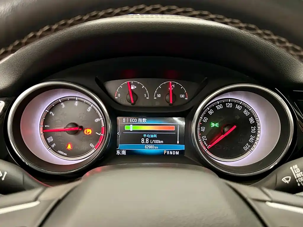 Buick Regal — миниатюра 13