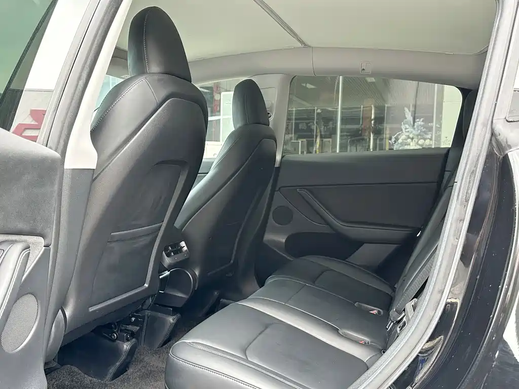 Tesla Model Y — миниатюра 7