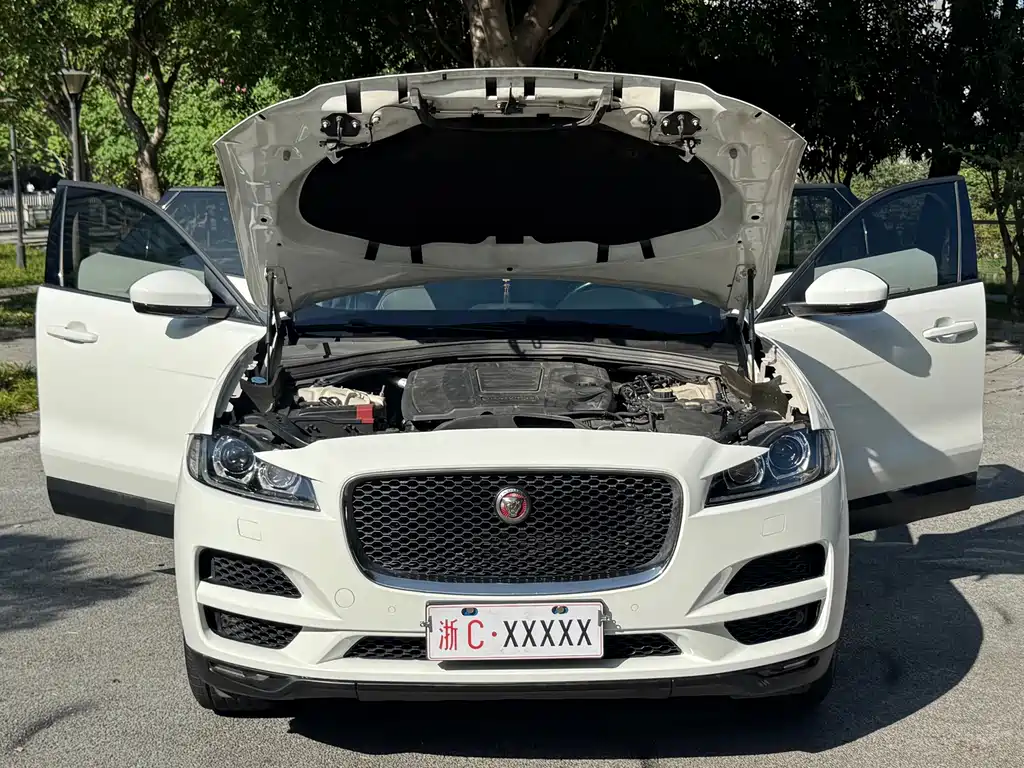 Jaguar F-PACE — миниатюра 21