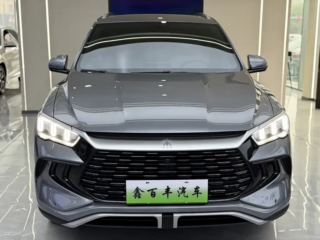 BYD Pro New Energy — миниатюра 2