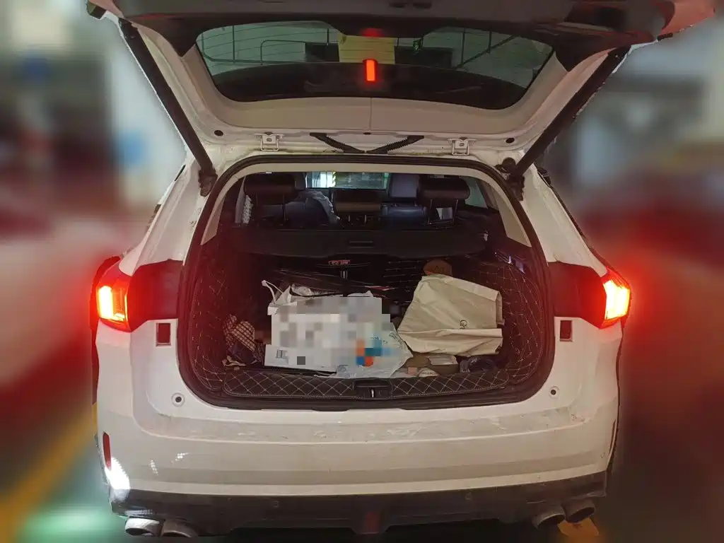 Wey Wey VV6 — миниатюра 15