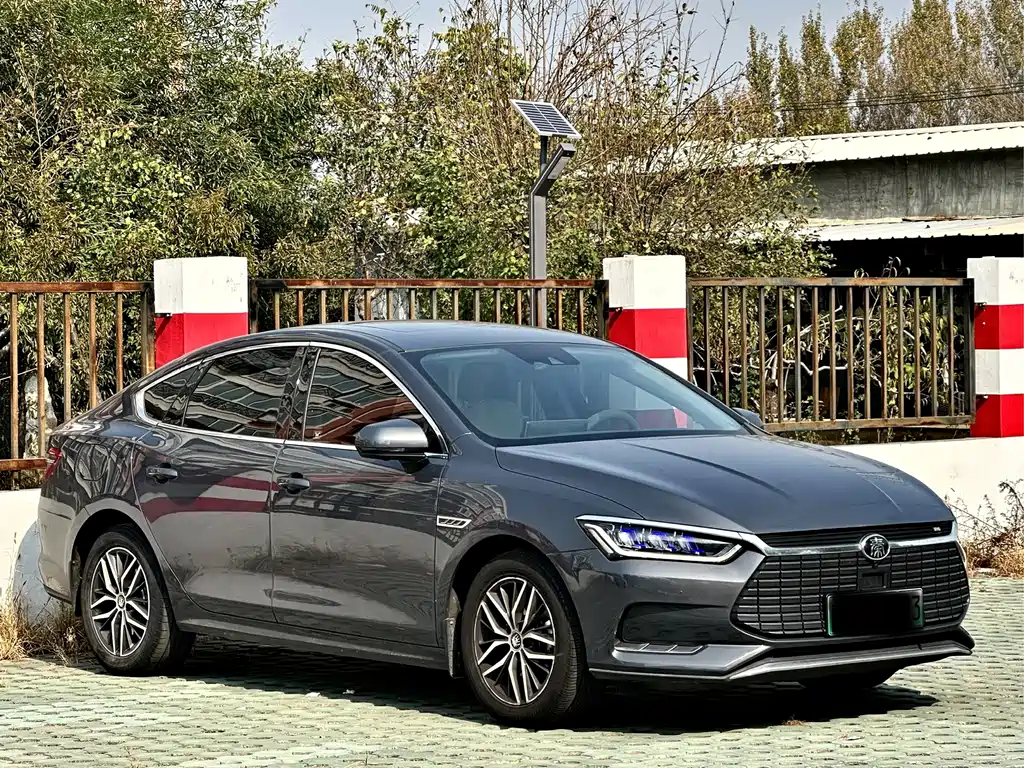 BYD Qin Pro NEV — миниатюра 2