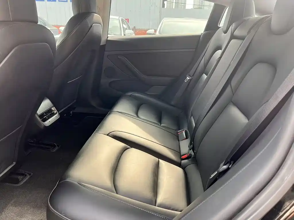Tesla Model 3 2021 3D6