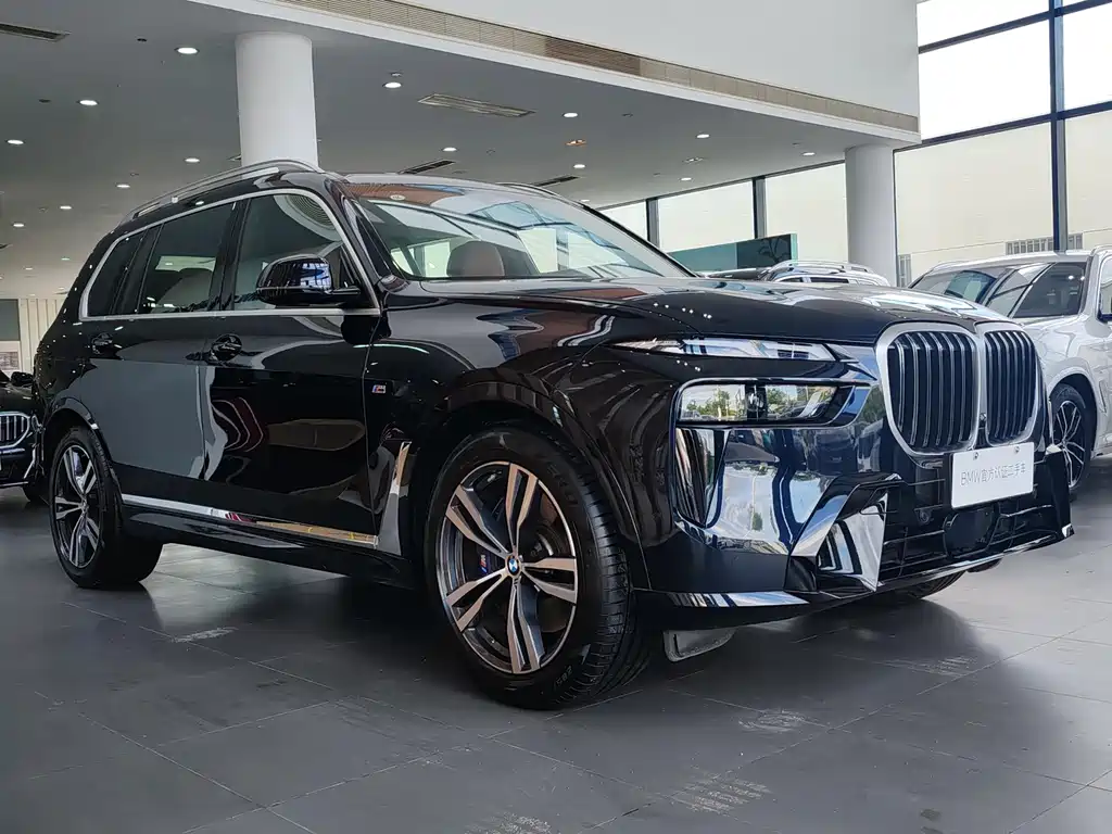 BMW X7 — миниатюра 3