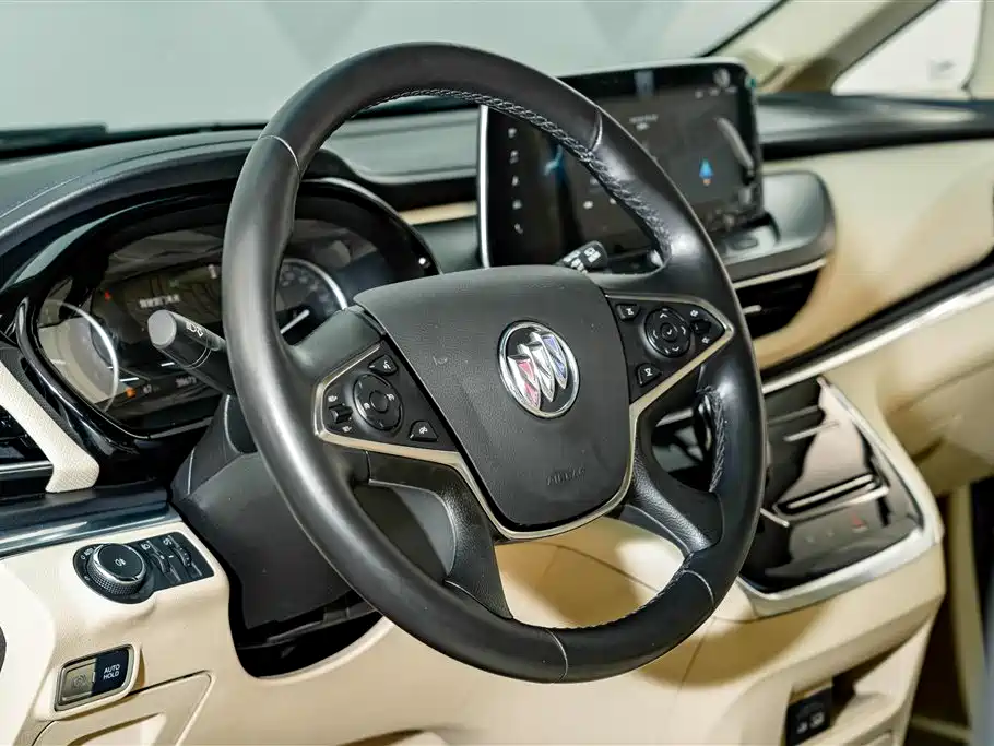 Buick GL8 — миниатюра 14