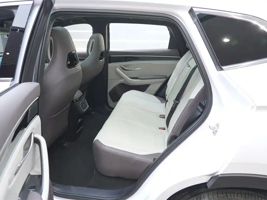 BYD SONGJIANG NEW ENERGY