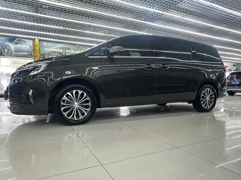Buick GL8 — миниатюра 2