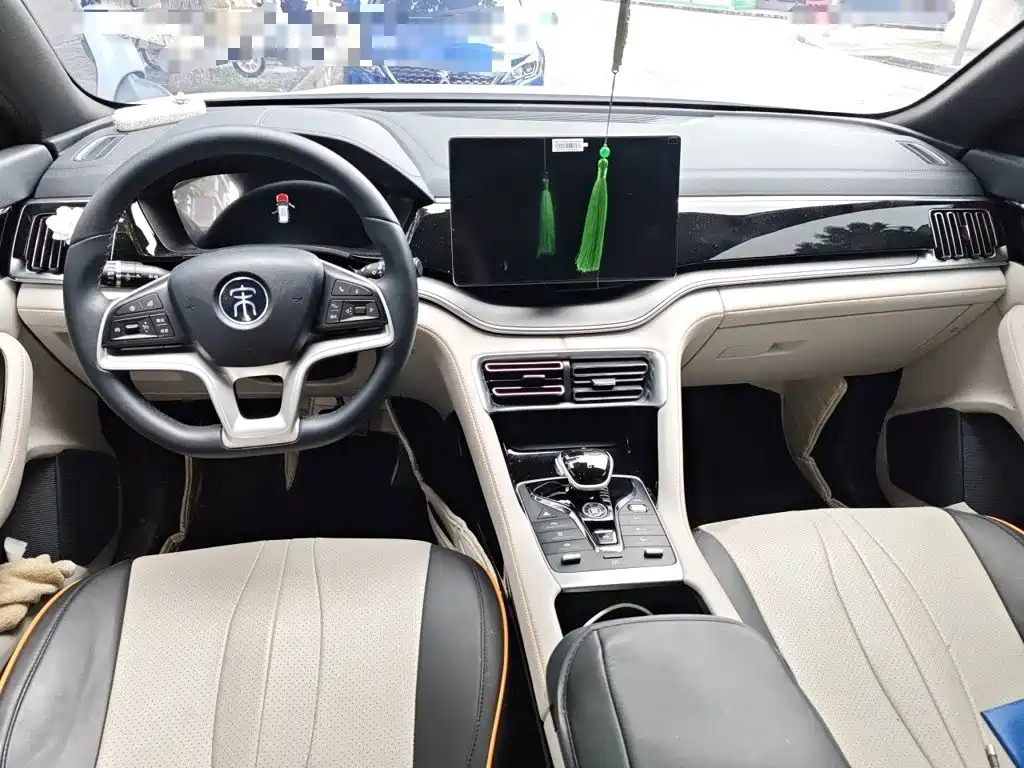 BYD PLUS New Energy — миниатюра 10