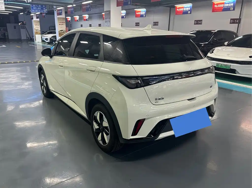 BYD Dolphin — миниатюра 15