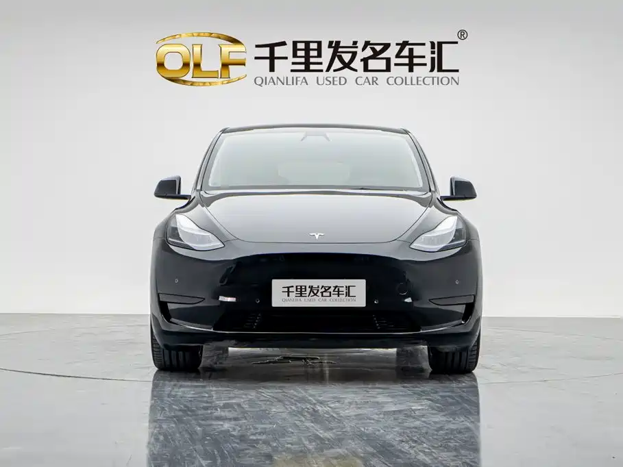 Tesla Model Y — миниатюра 5